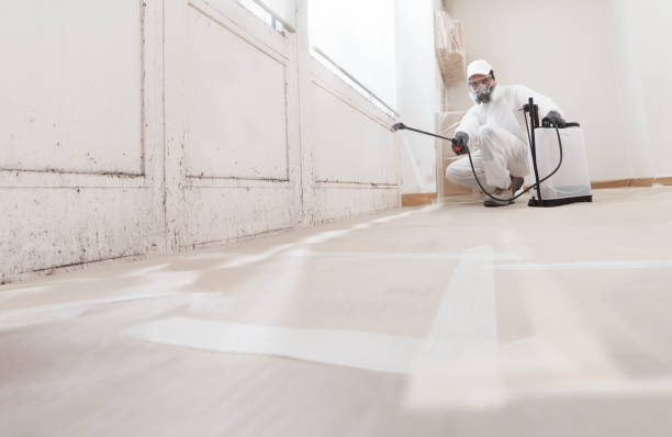 24/7 Emergency Black Mold Removal experts in Jacksonville, NC