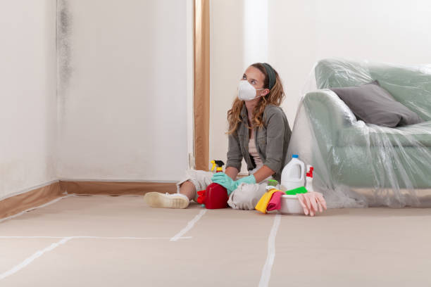 Reliable Mold Cleanup contractor in Jacksonville, NC by Cheap Mold Removal